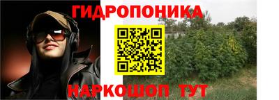 эйфоретик Заволжье