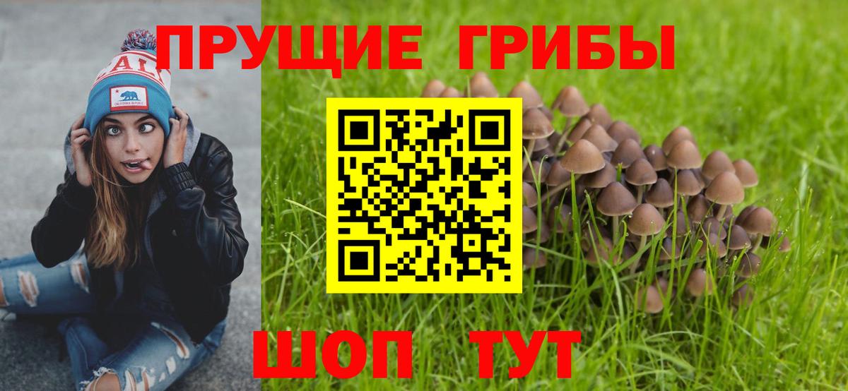 Магадан  Псилоцибиновые грибы мухоморы  Вход с VPN 