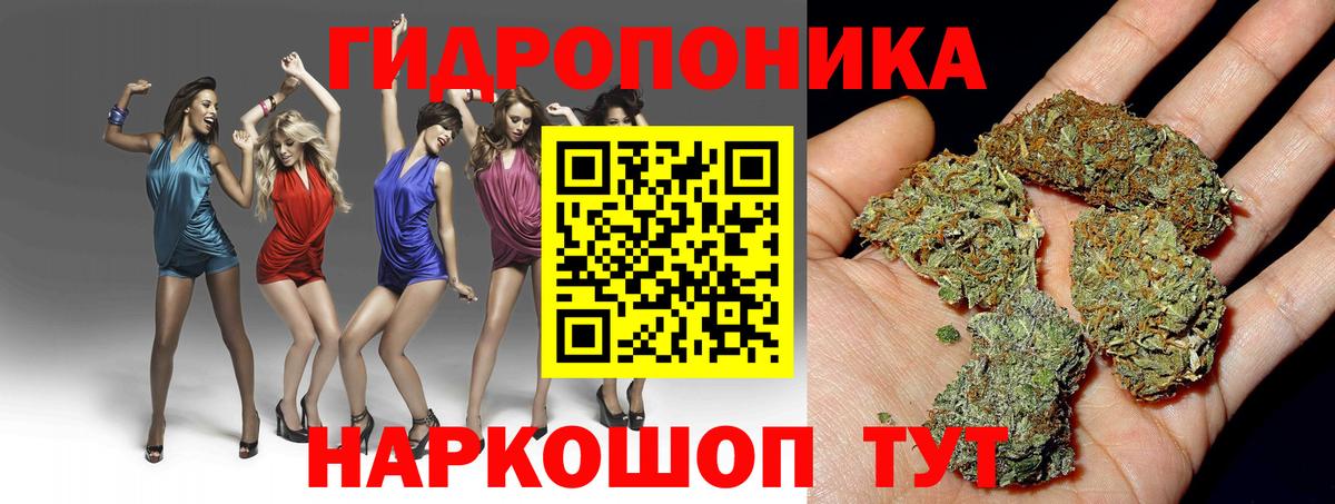 Канабис семена  Вход с VPN  Бошки марихуана SATIVA & INDICA  Магадан  Конопля Amnesia 